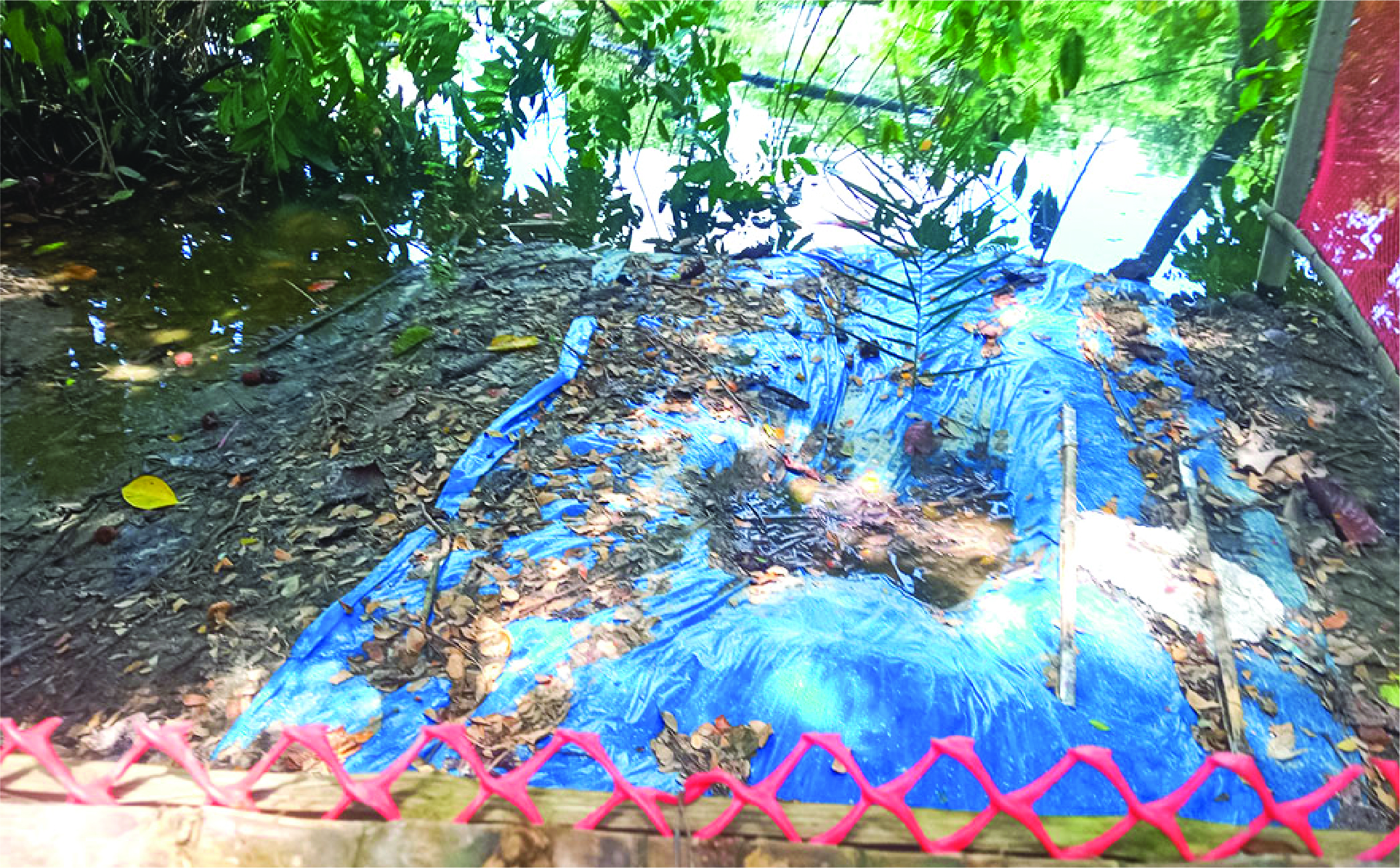Image of মো: ইউসুফ 